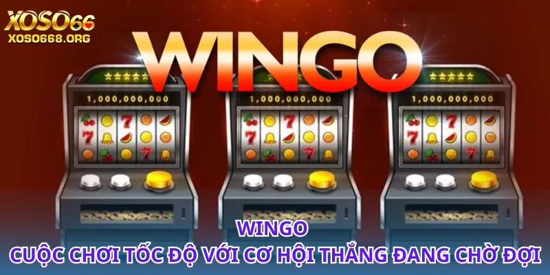 wingo